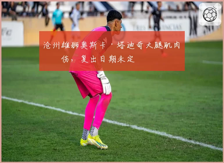 沧州雄狮奥斯卡·塔迪奇大腿肌肉拉伤，复出日期未定