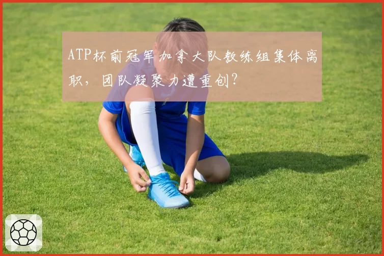 ATP杯前冠军加拿大队教练组集体离职，团队凝聚力遭重创？