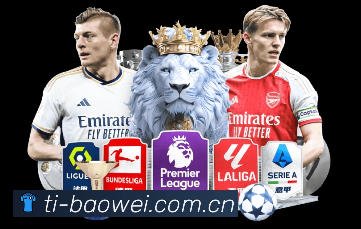 奖项3
